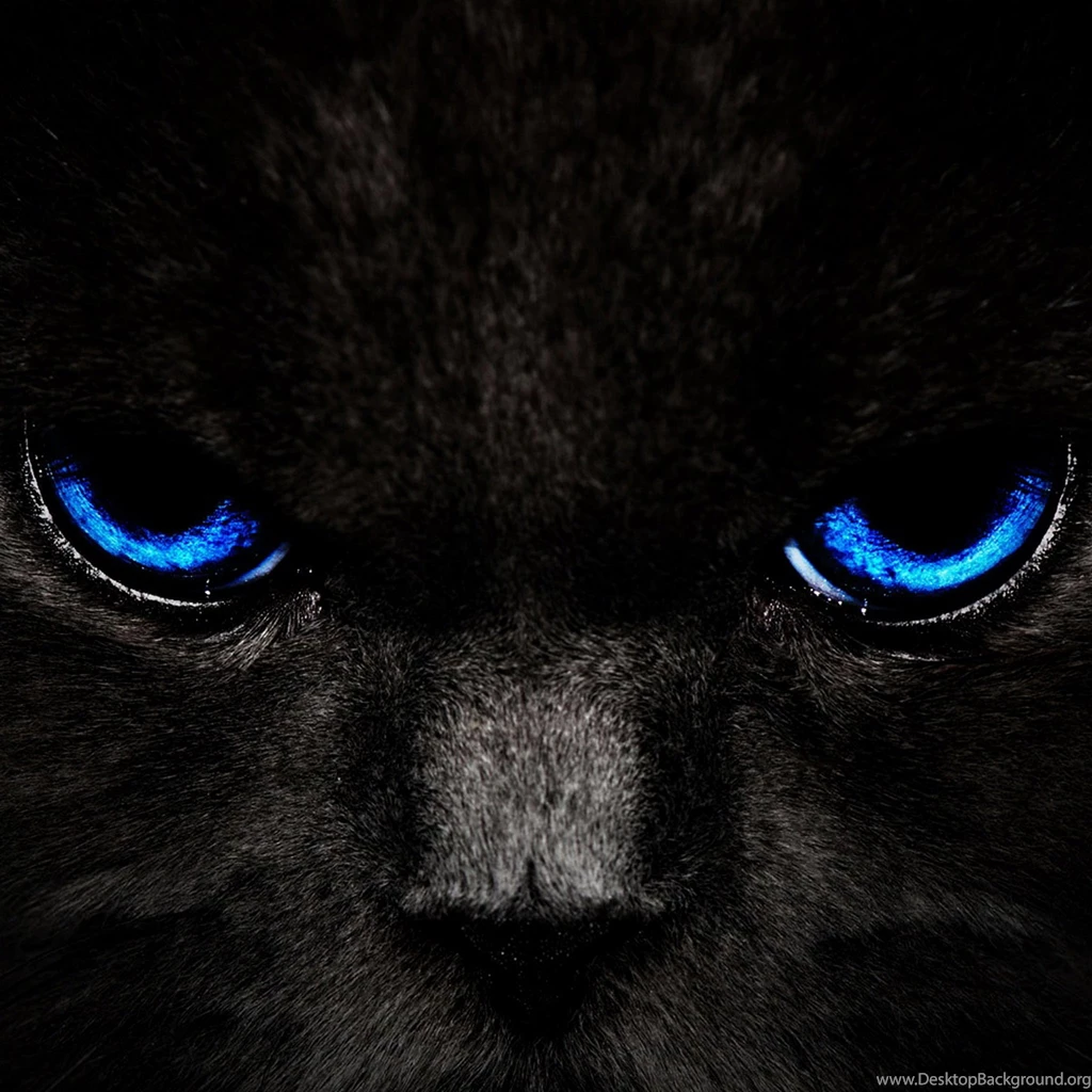 Ipad Hd Retina Wallpapers One 577