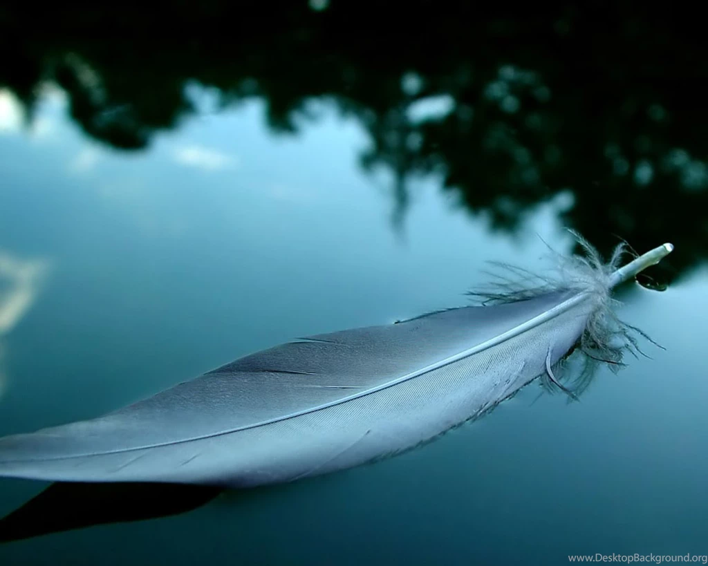 Desktop Wallpapers W069