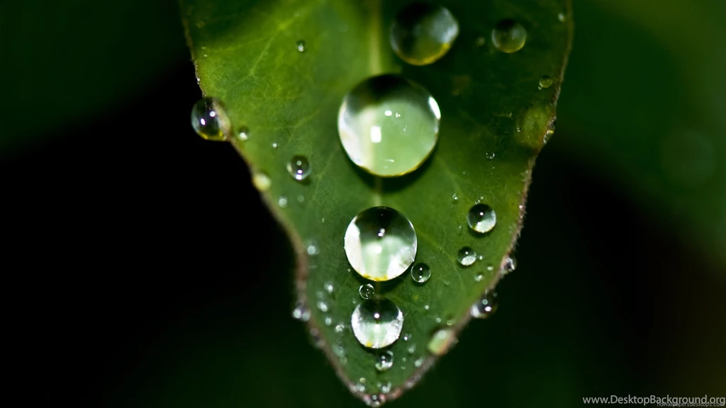 Full HD Wallpapers Widescreen 4.jpg