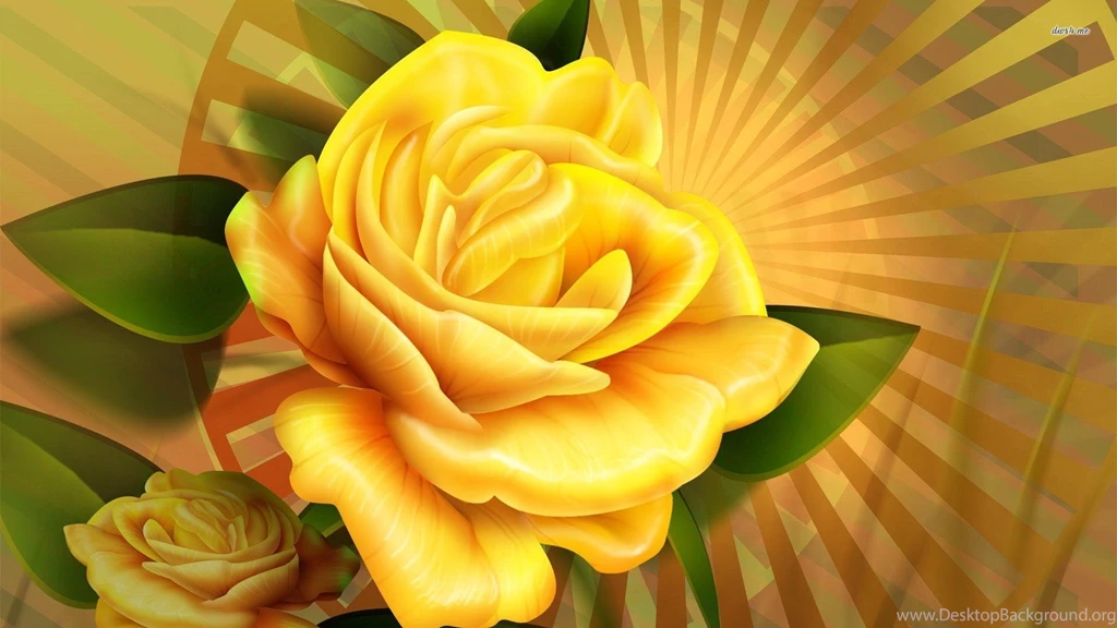 Yellow Rose Wallpapers   Vector Wallpapers