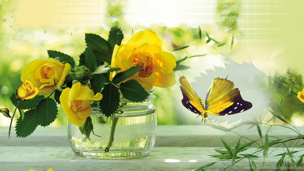 Jestingstock.com Yellow Roses Wallpapers Desktop Backgrounds