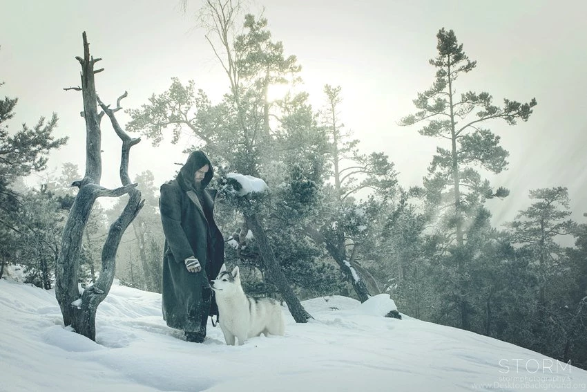 Wolfheart   Bands, Images Metal Wolfheart   Bands Metal Bands ...