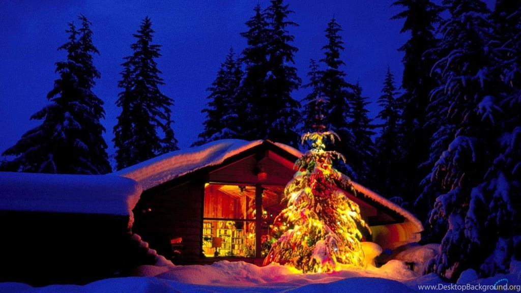 Download Wallpapers Christmas Tree At The Cottage (1366 X 768 ...