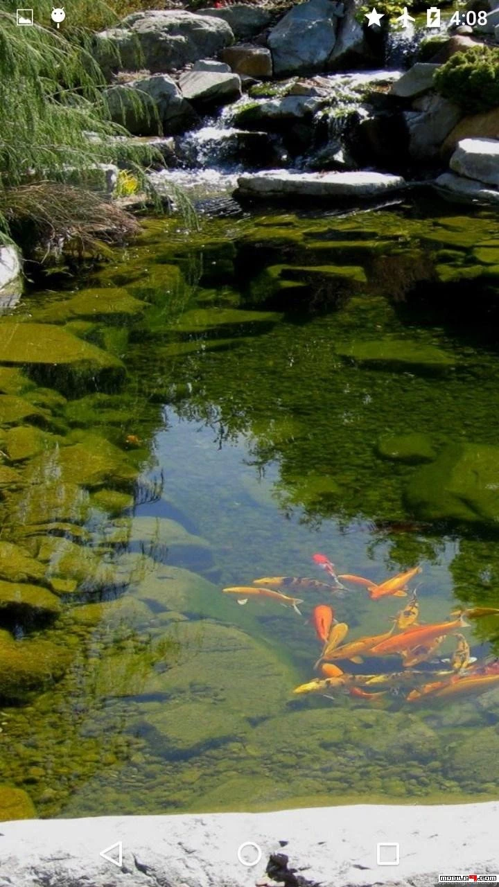 Download Koi Puzzle And Live Wallpapers Android Games APK 4539918 ...