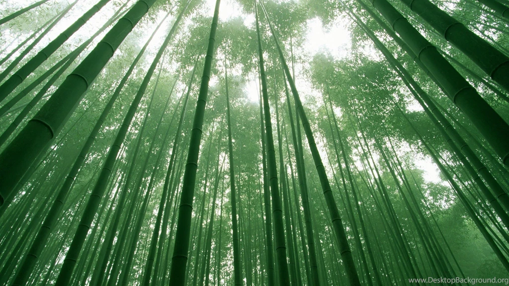 4K Ultra HD Bamboo Wallpapers HD, Desktop Backgrounds 3840x2160 ...