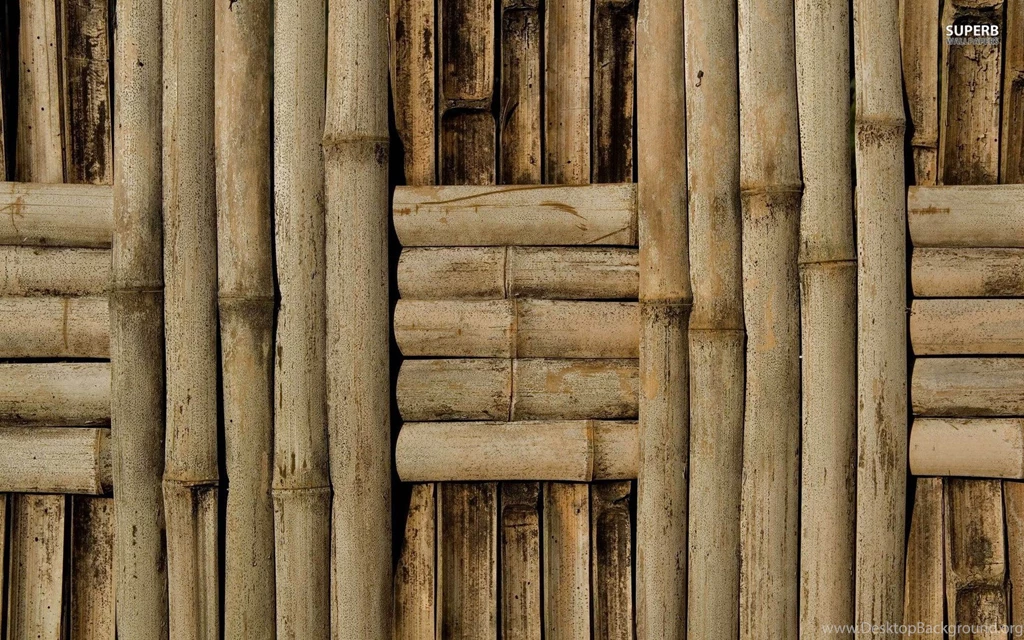 Justpict.com Bamboo Wallpapers For Walls