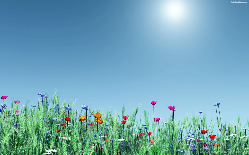 Flores Beautiful Wallpapers.jpg