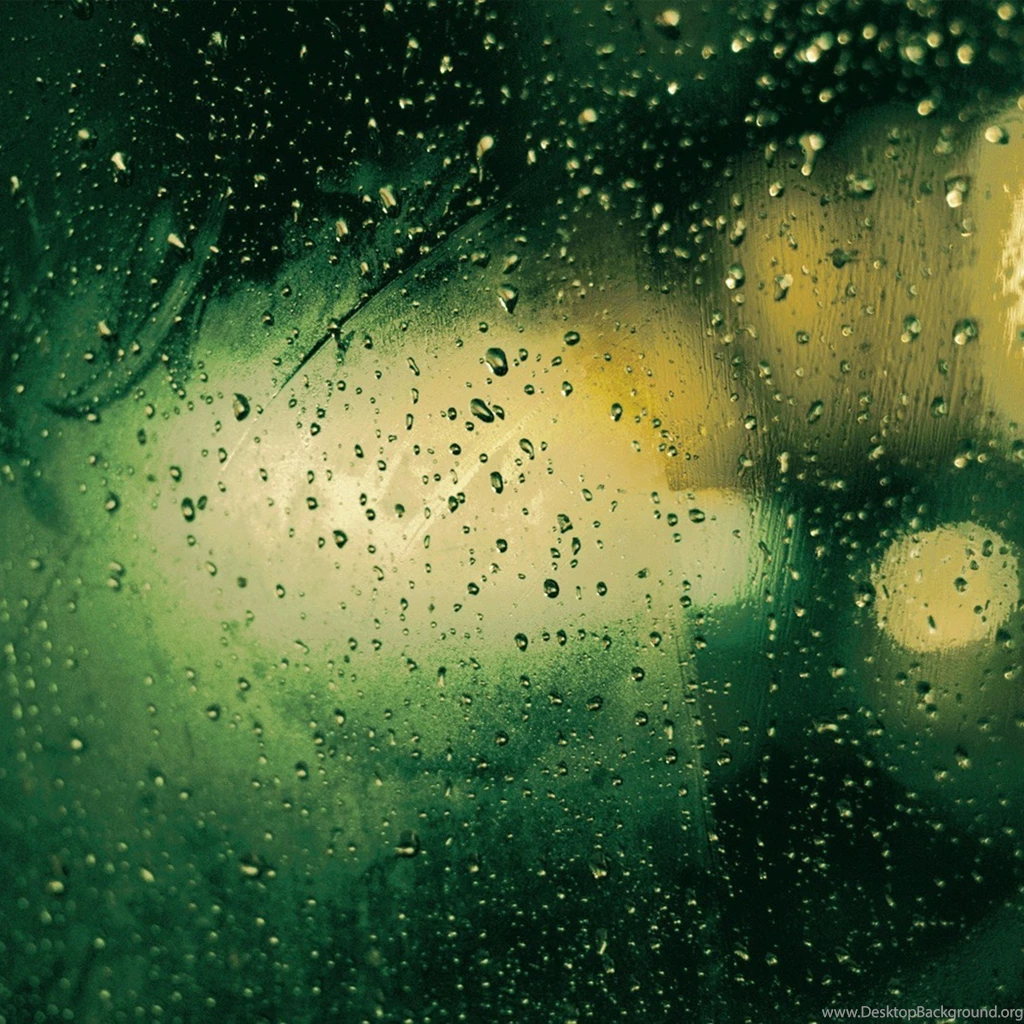 Green Rainy Day HD Abstract Wallpapers