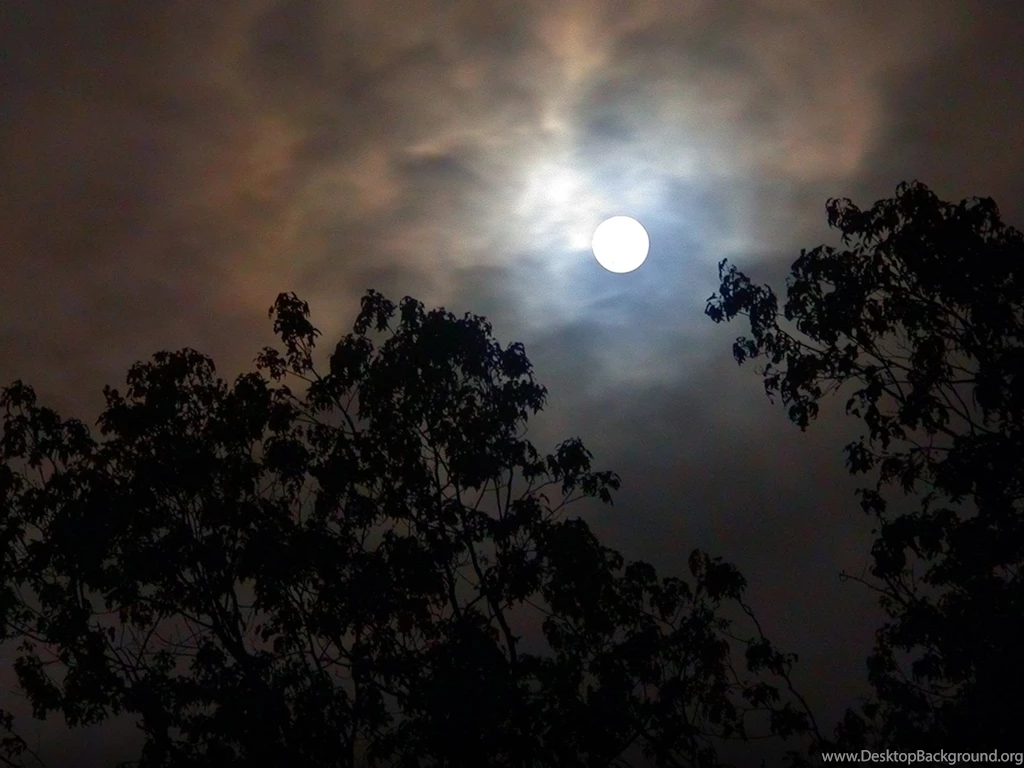 Stormy Night Wallpapers 194570