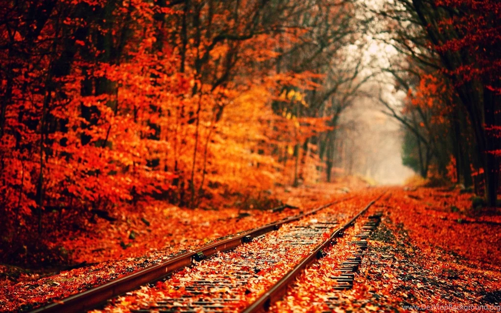 Autumn Computer Backgrounds Wallpapers Cave