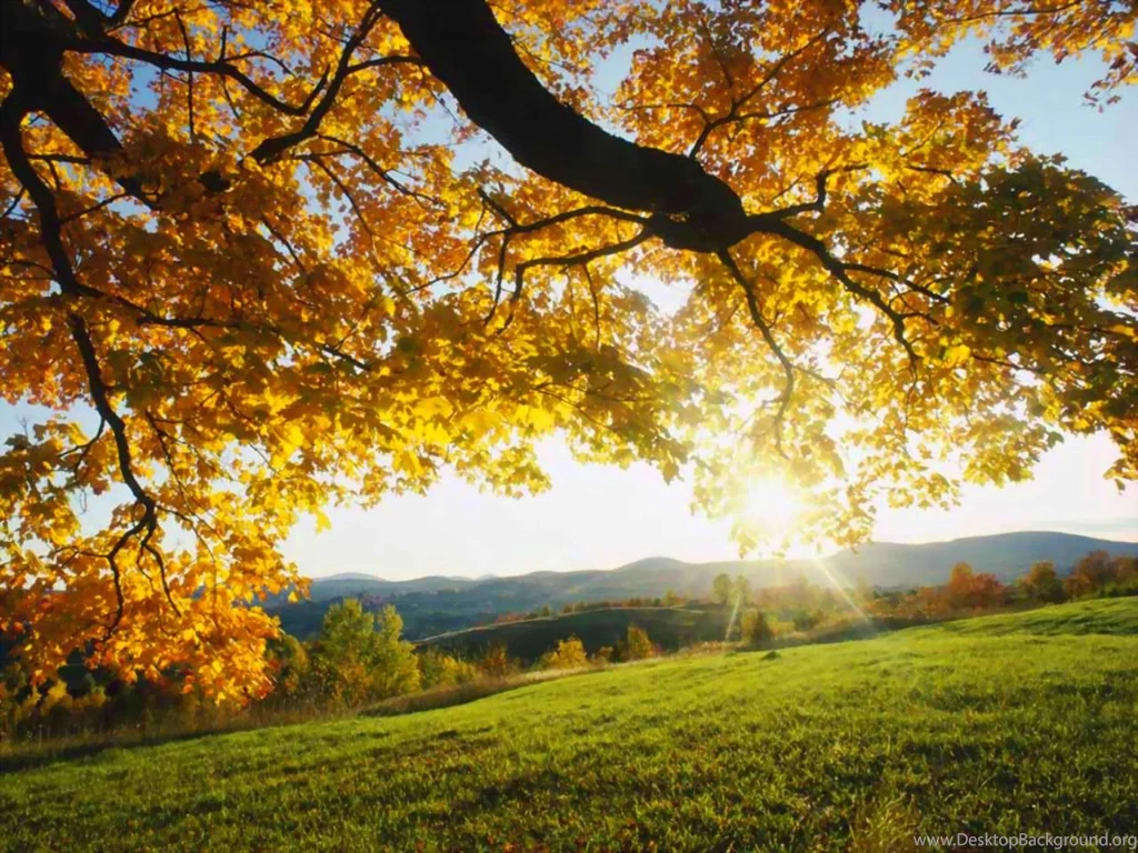 Autumn Computer Backgrounds Wallpapers Cave