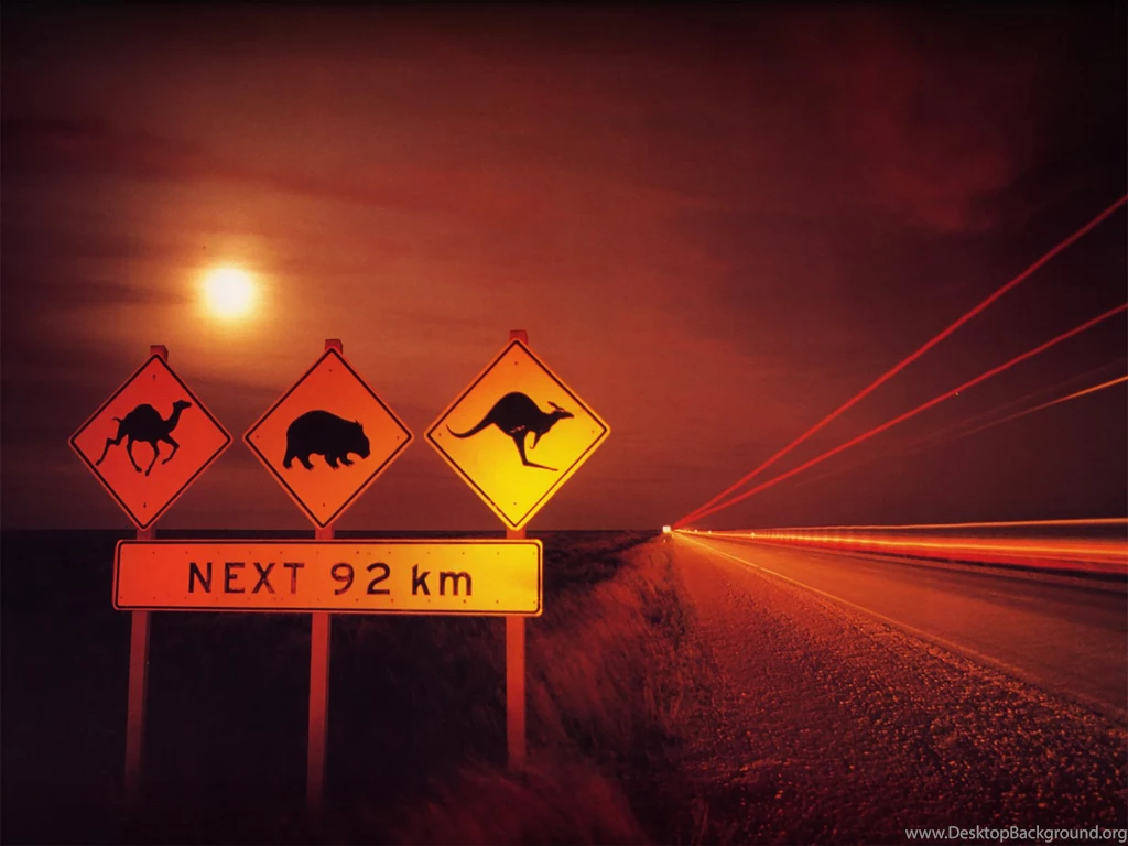 Australia Beaches Kangaroo Wallpaper.