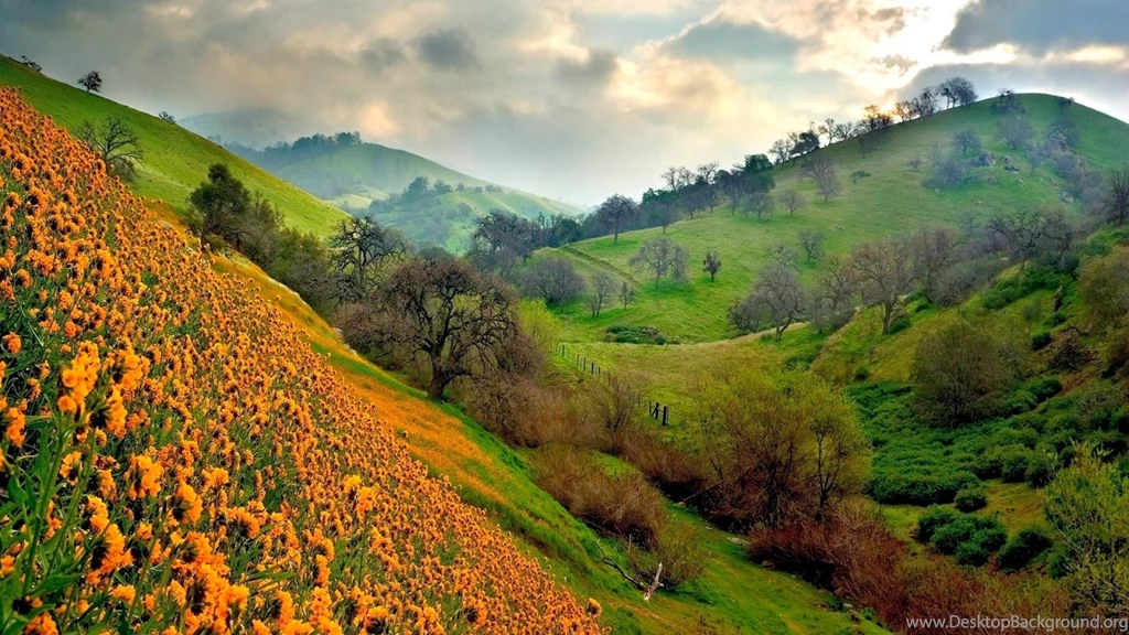 7 Wonders Of The World: Latest Nature Scenery Wallpapers