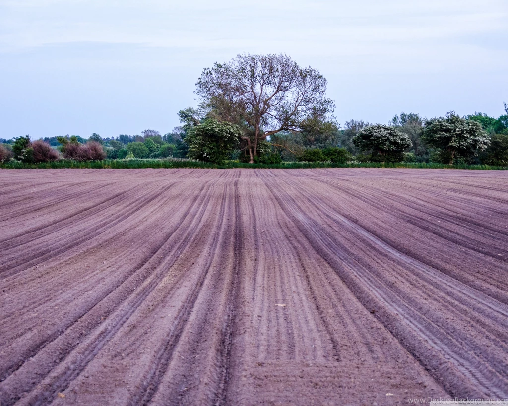 Central Denmark Region HD Desktop Wallpapers : Widescreen : High ...