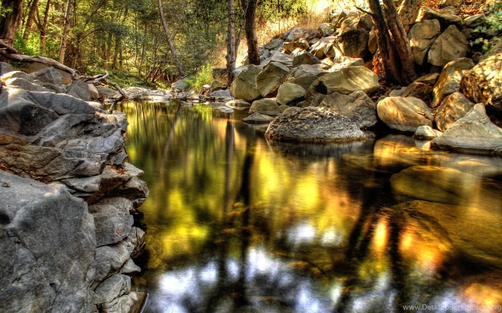HD Forest Wallpapers Wallpapers Cave