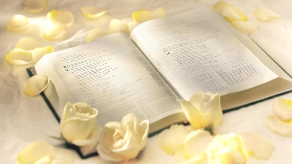 Yellow Roses On Th Bible, Photography, 1920x1080 HD Wallpapers And ...