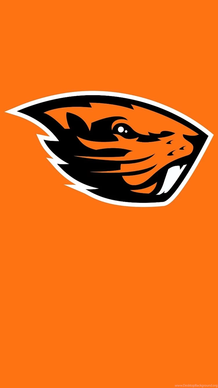 A Beaver iPhone Wallpapers I Made, Works Great As A Lockscreen ...