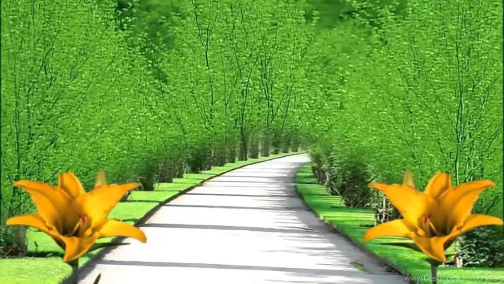 Nature HD Backgrounds 1280x720 YouTube