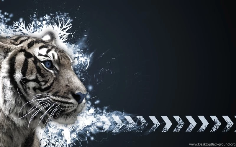 Tigers,white Tiger Tigers White Tiger 1920x1200 Wallpapers – Tiger ...