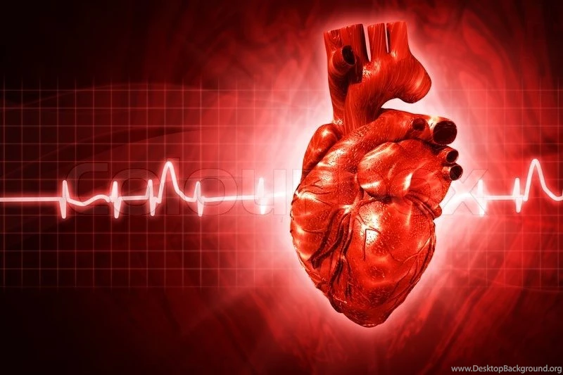 ECG Abstract Backgrounds With Human 3D Rendered Heart