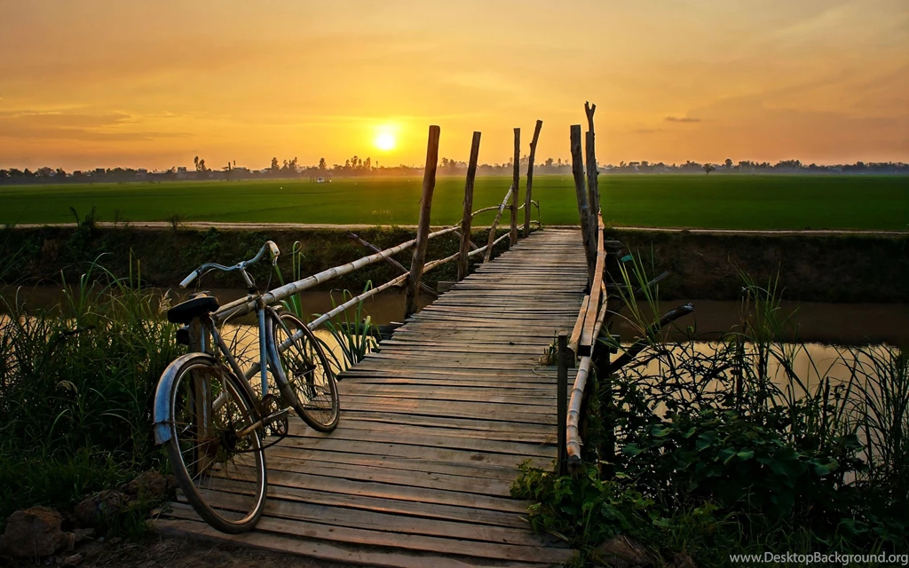 Wood Bridge Bicycle Sunset HD Wallpapers