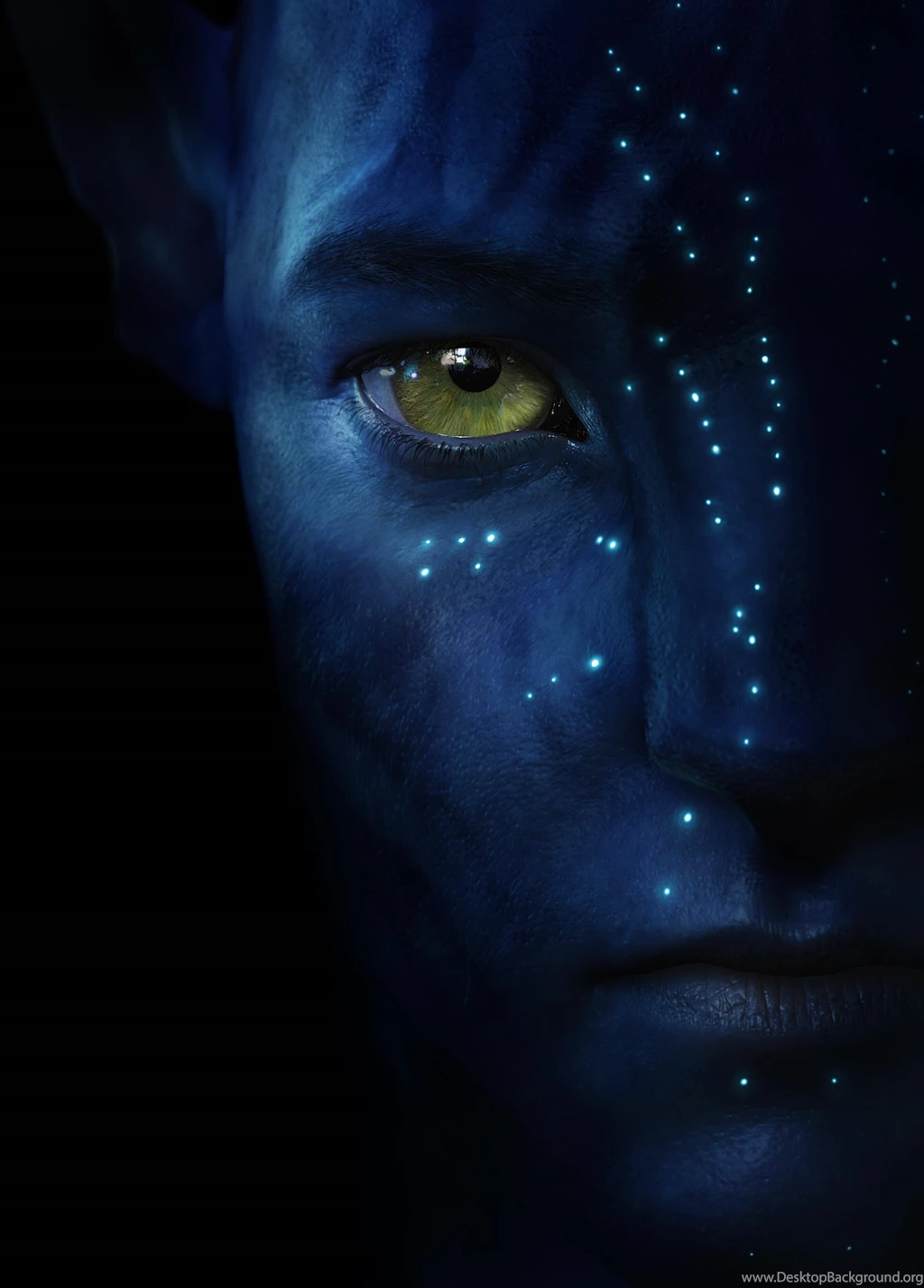 Avatar Jake Wallpapers   (