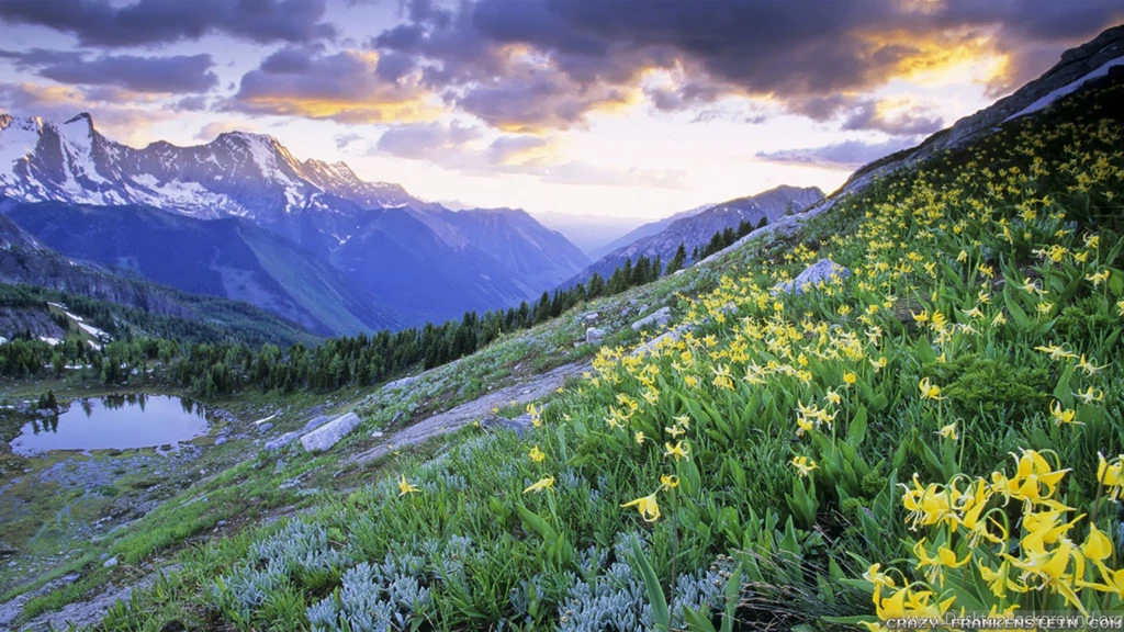 Spring In Canada Wallpapers Crazy Frankenstein