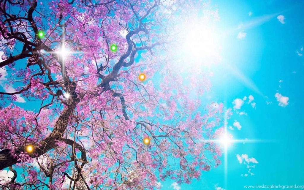 Early Spring Nature   Android Apps And Tests   AndroidPIT