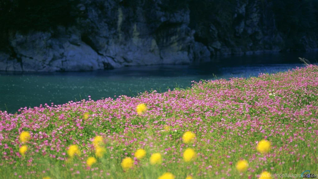 Download Wallpapers Early Spring Flowers (1366 X 768). Desktop ...