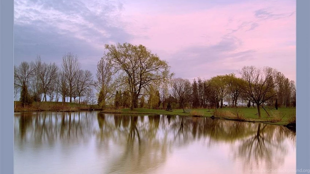 Early Spring In Park Wallpapers   (