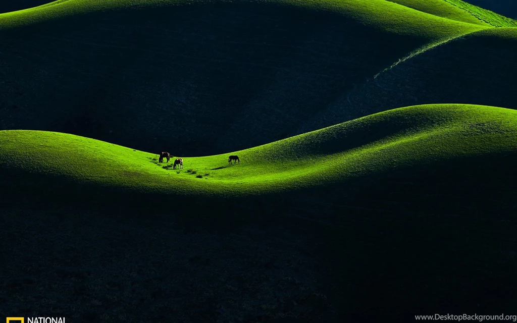 Grassland In Early Spring － Landscape Wallpapers   Free Download ...