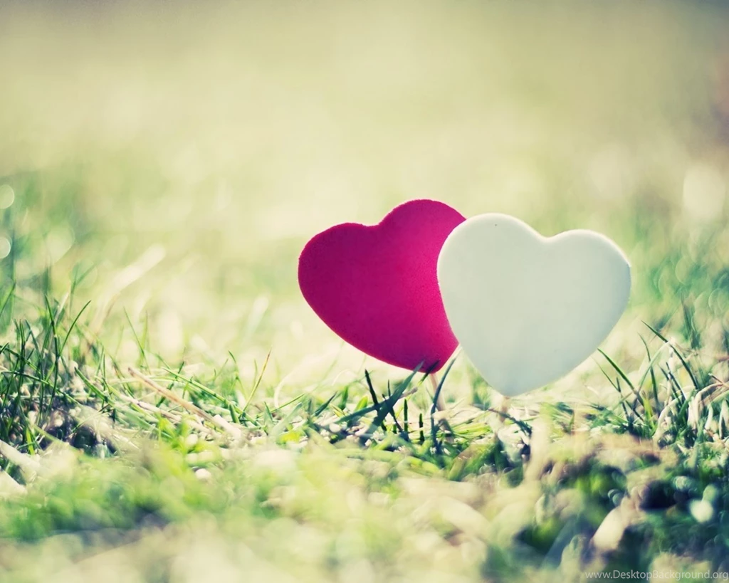 1280x1024 Pink White Heart Wallpapers