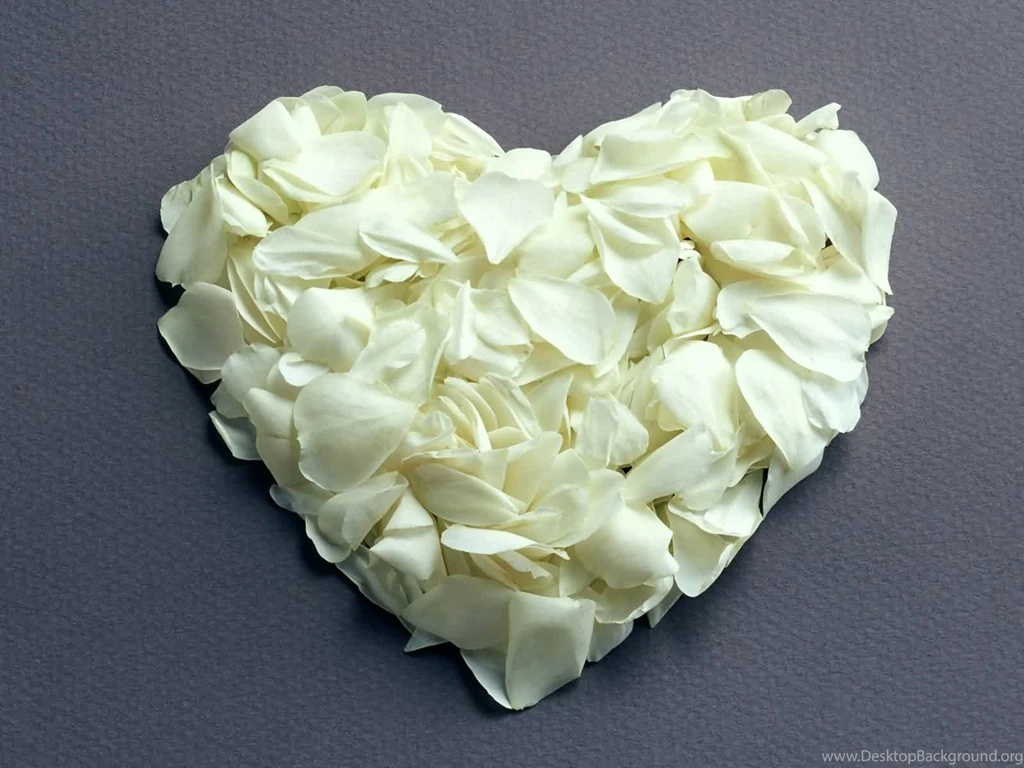 1600x1200 White Petals Heart Desktop PC And Mac Wallpapers