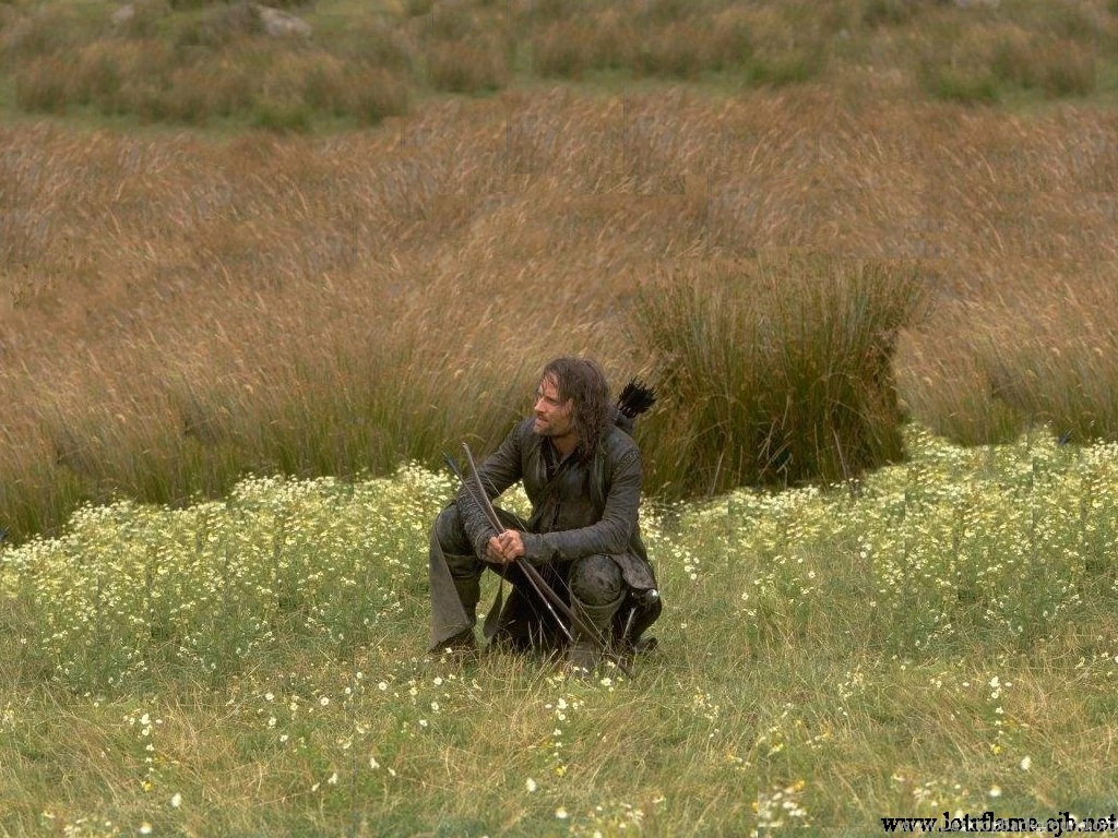 Aragorn