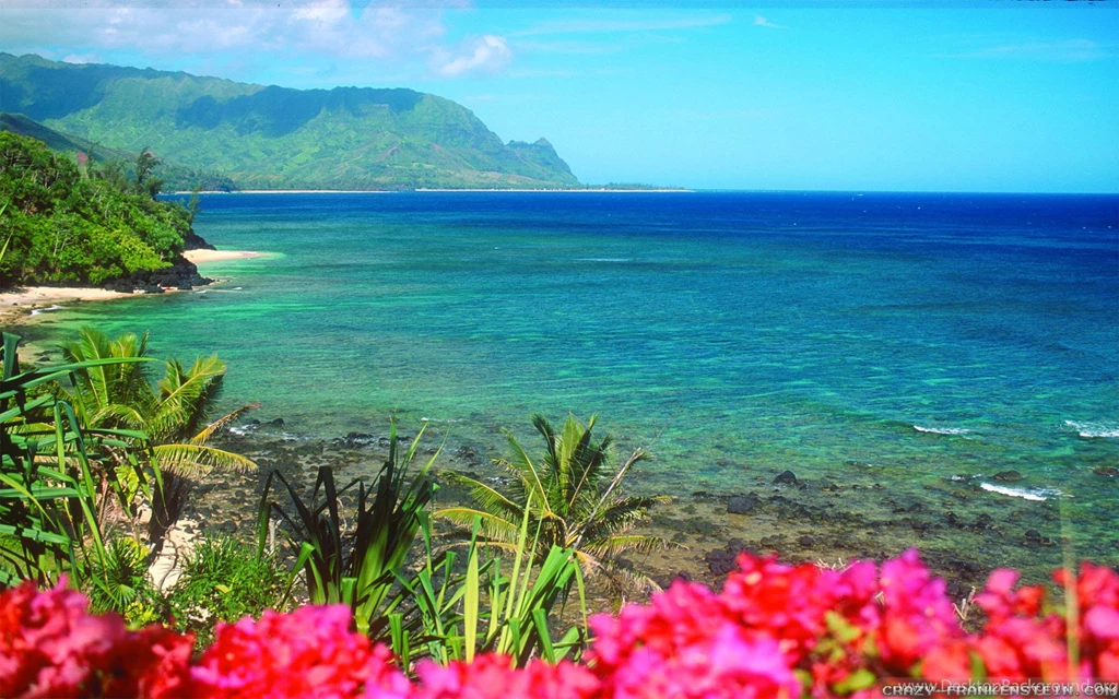 Hawaii Phone Wallpapers : Nature Wallpapers Semrawut