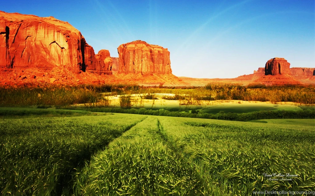 Download Free High Definition Nature Wallpapers