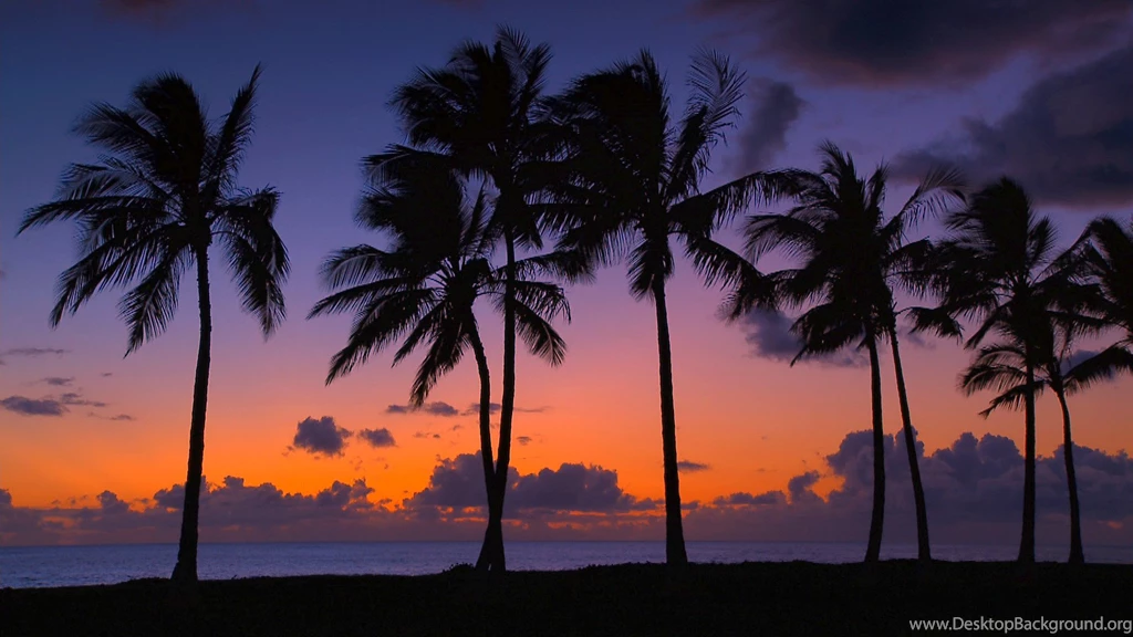 Hawaii, Beaches, Wallpaper, Discount, Images (
