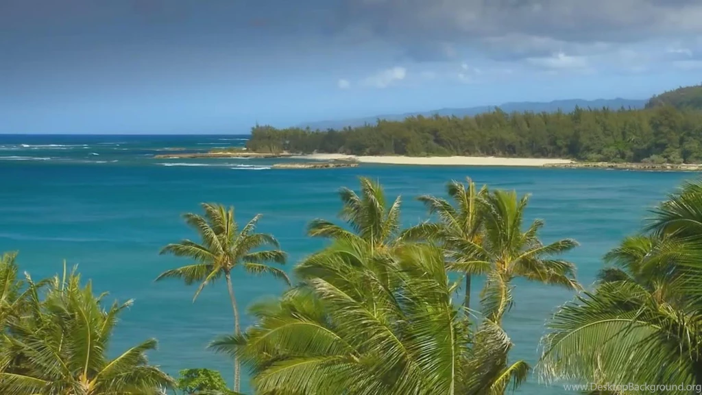 Hawaii Live WallPaper Android Apps On Google Play