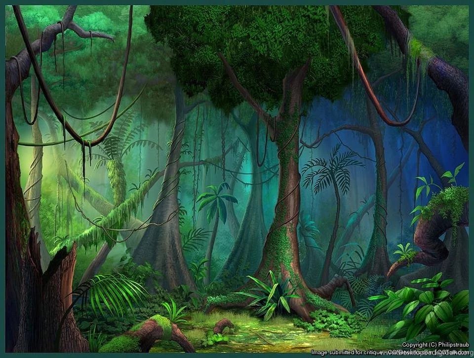 Gallery For Rainforest Backgrounds