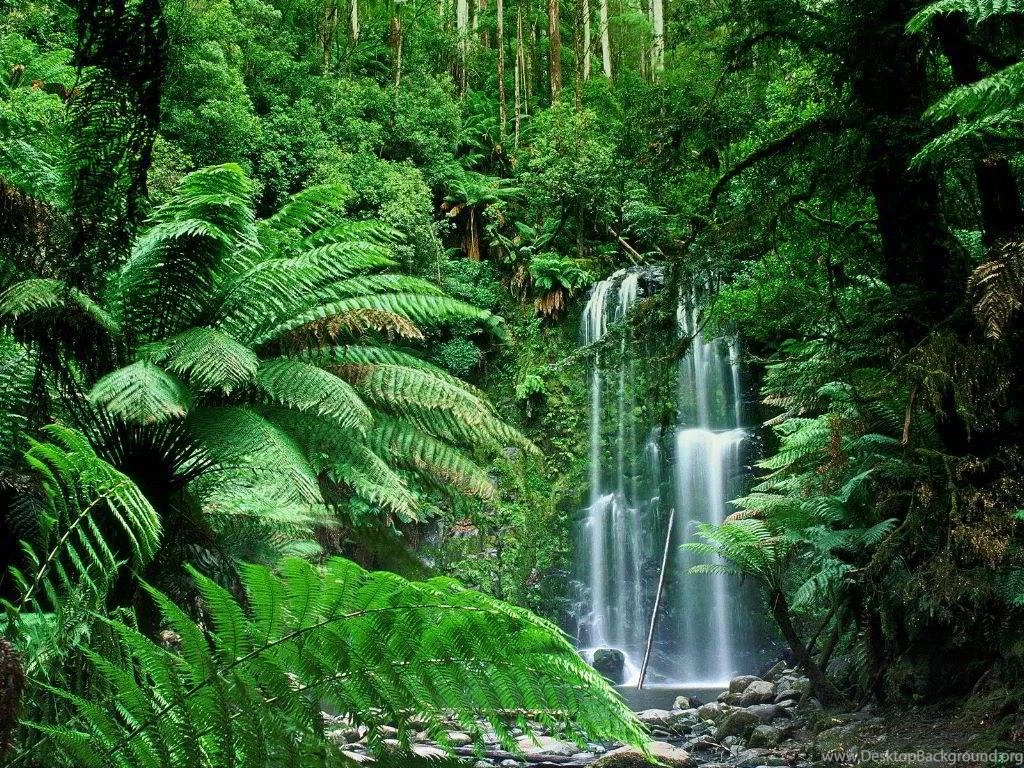 Rainbow Tropical Rainforest Waterfalls HD For Wallpapers ...