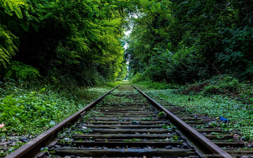 High Definition Wallpapers With Train Railway In Nature Forest