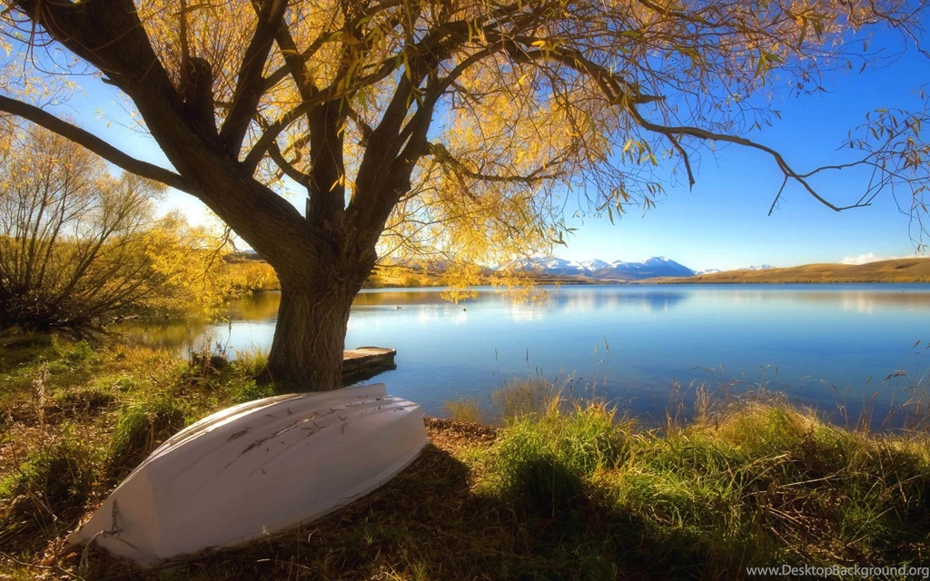 Beautiful Amazing Nature Wallpapers (11)