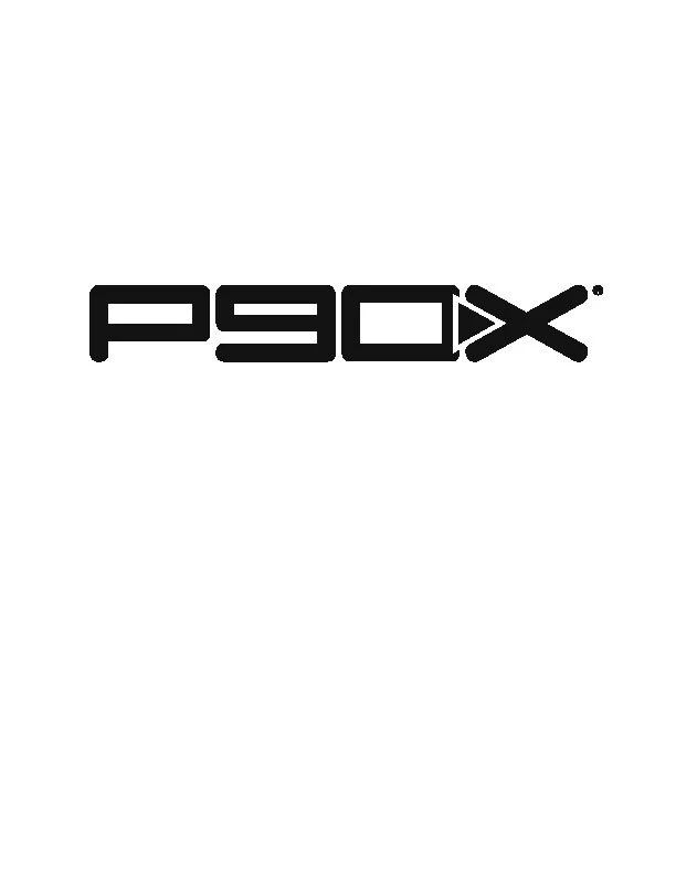 Mehrapensmin: P90x 90 Day Schedule
