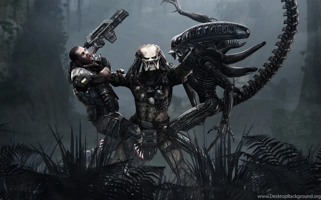 Visual, Paradox, Predator, Wallpapers, Aliens, Description (