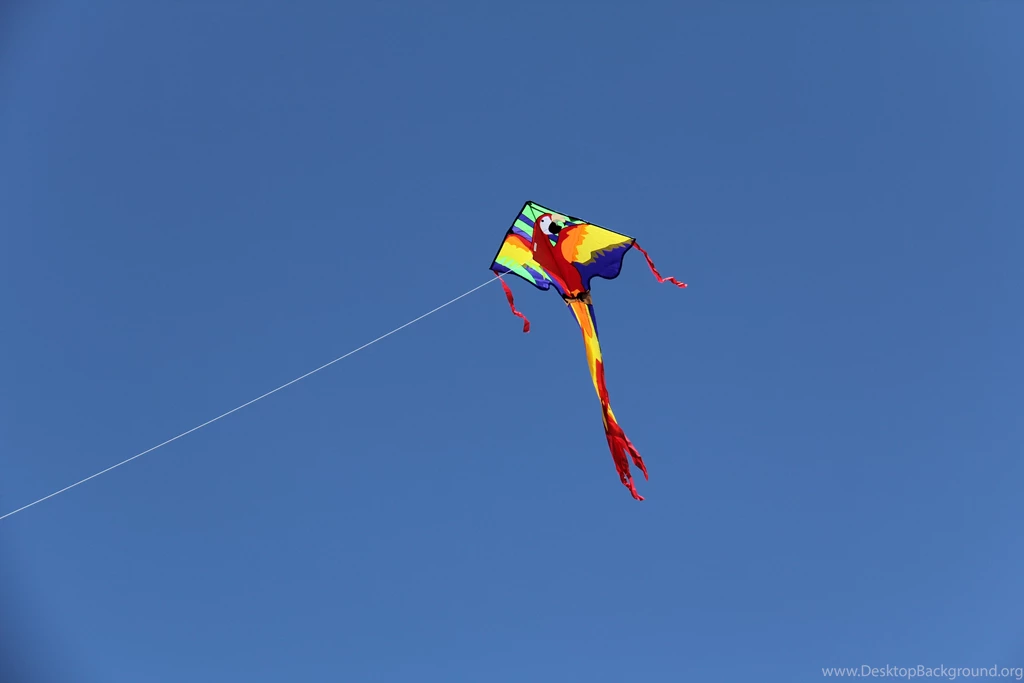 Kite Flying Bokeh Flight Fly Summer Hobby Sport Sky Toy Fun ...