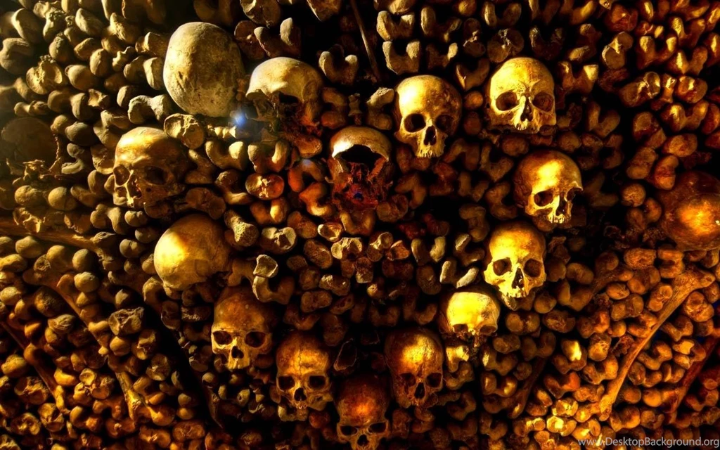 Skull Wallpapers Android Apps On Google Play
