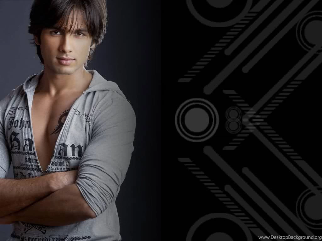 Wallpapers Hollywood Heroes Celebrity Bollywood Actors Hd 1024x768 ...