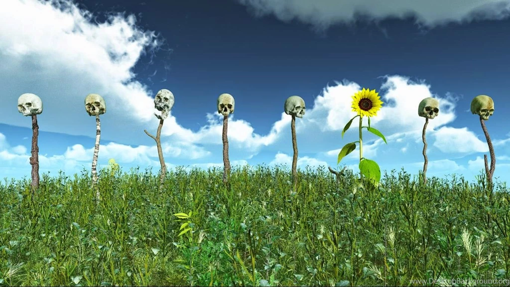 3D Visual Paradox Wallpaper Images HD