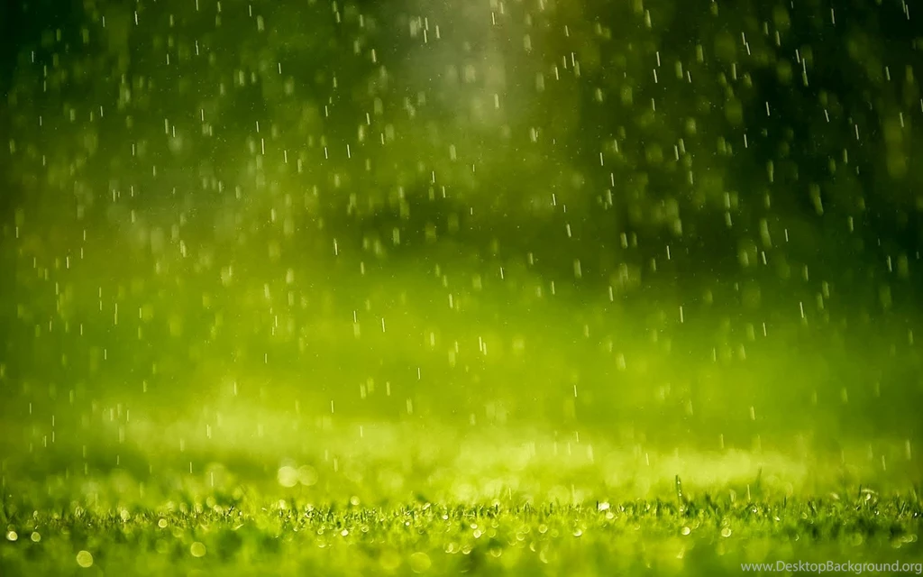 Animated Wallpapers Rain