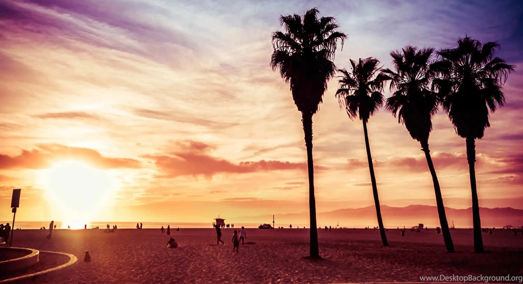 Which Night Prowler Series Character Are You?